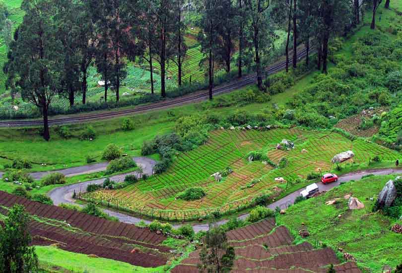 Ooty, Tamil Nadu