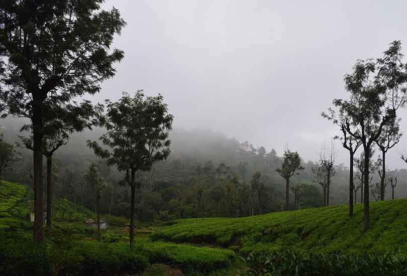 Coonoor