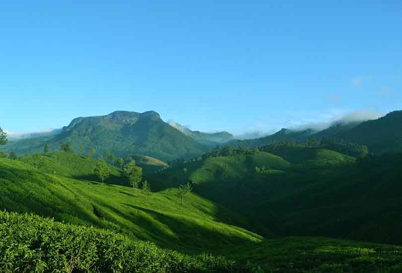 Munnar, Kerala