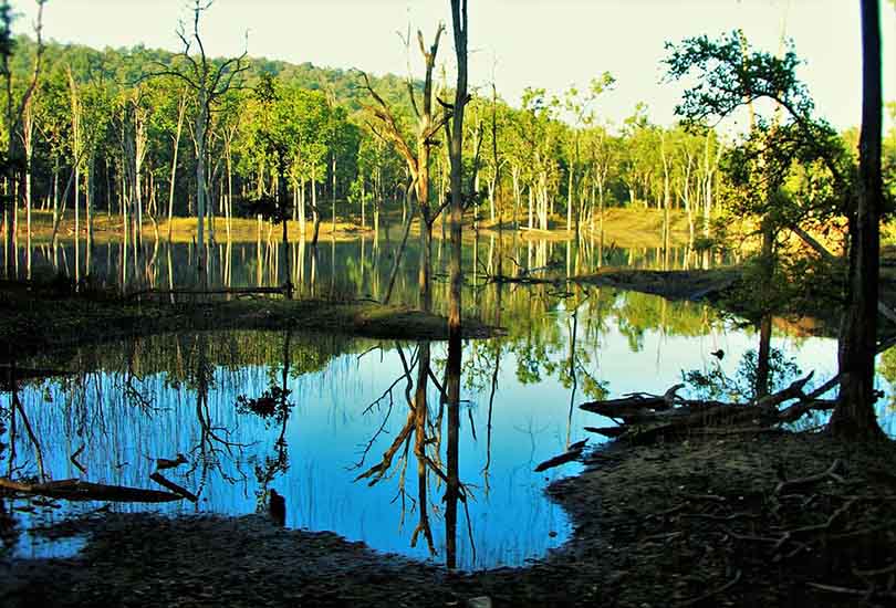 Pench National Park 