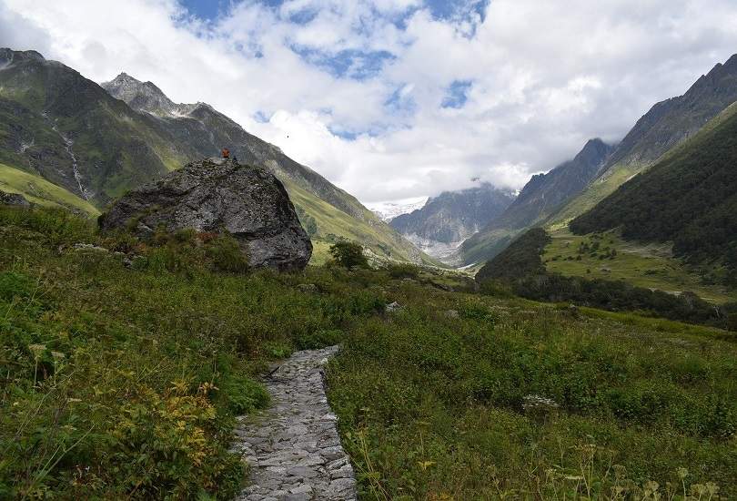 Valley Of Flowers